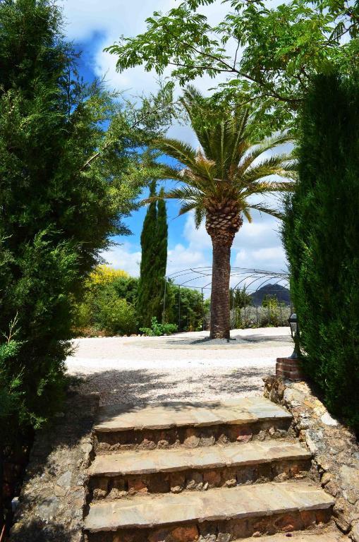 Penzion Cortijo Sabila Villanueva del Rosario Exteriér fotografie
