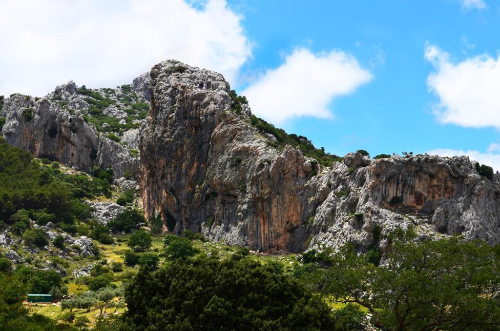 Penzion Cortijo Sabila Villanueva del Rosario Exteriér fotografie