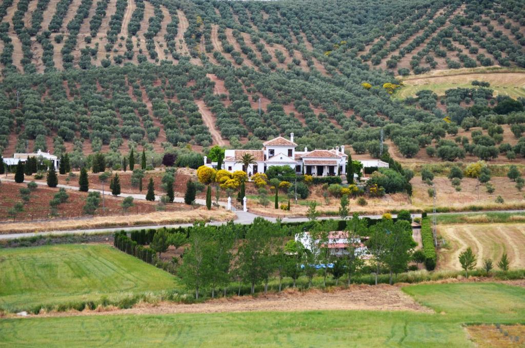 Penzion Cortijo Sabila Villanueva del Rosario Exteriér fotografie